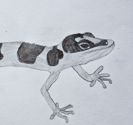 MAde NEw Arts, Arts Program, Juvenile Detention Arts PRogram,