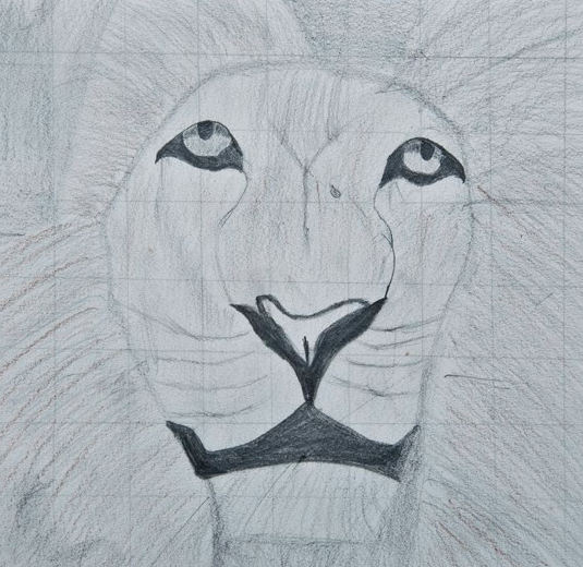 MNA DJJ Art PRogram, Made New Arts Juvenile Detention Art PRogram, Department of Juvenile Justice, Alachua County